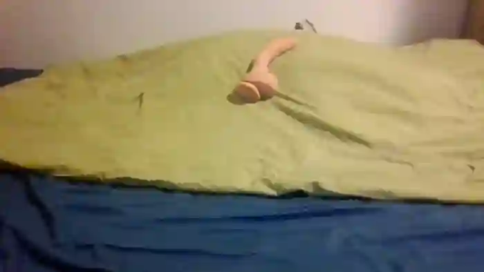 mike-noley