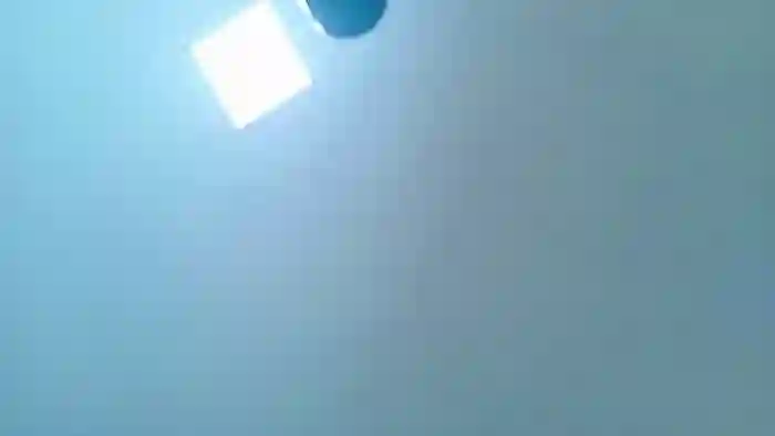 sara-walcker-and-pablo-rojas