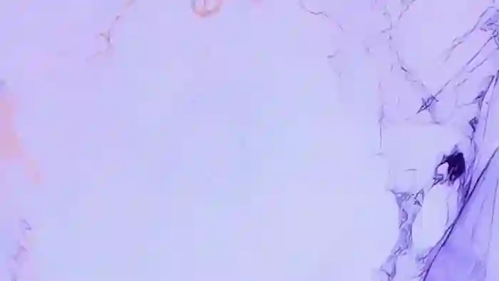 megan-chester