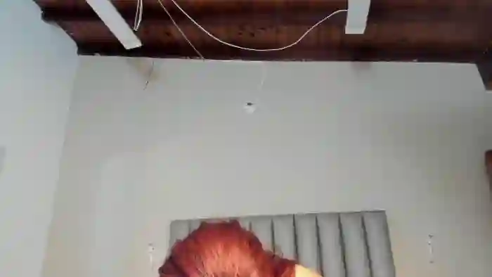 tessa-thomp