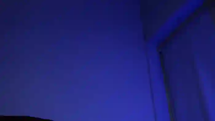 jimi-d