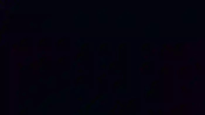 the-great-belami-chat-off