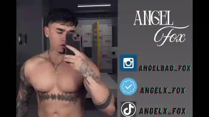 fox-angel