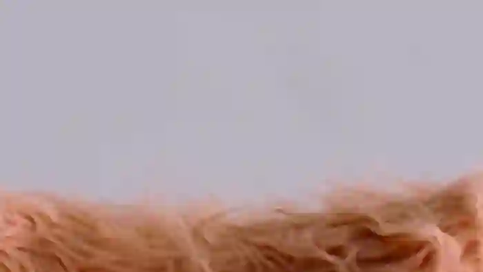 nazanin-hunter