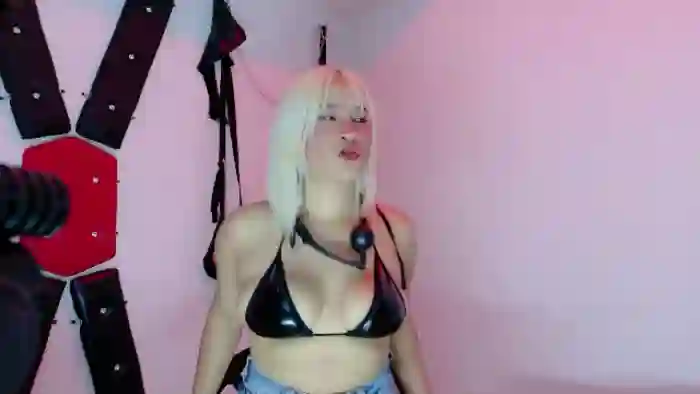 alice-slave-and-max-dominant