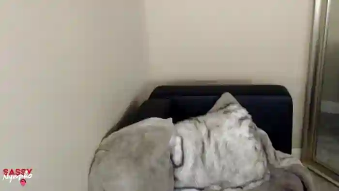 Sassy_Nympho