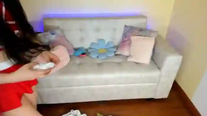 Tiny_Cora