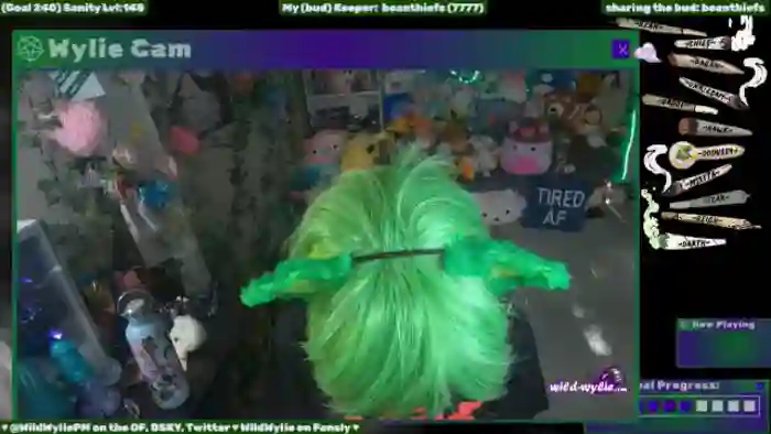 WildWyliePM