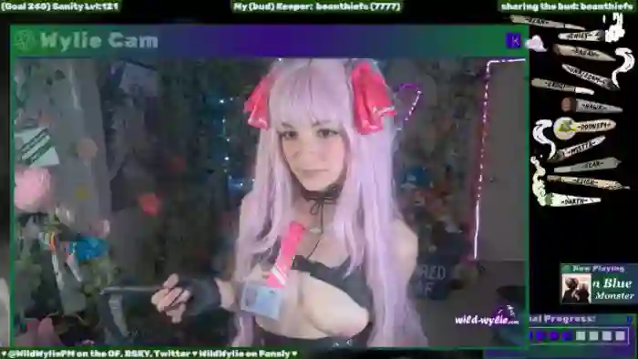 WildWyliePM