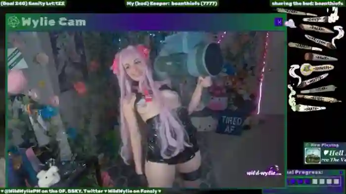 WildWyliePM