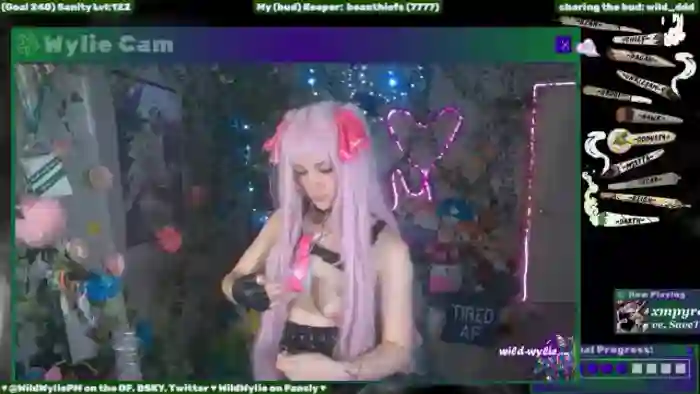 WildWyliePM