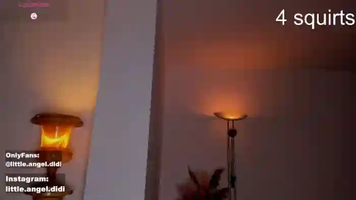 angel_didi