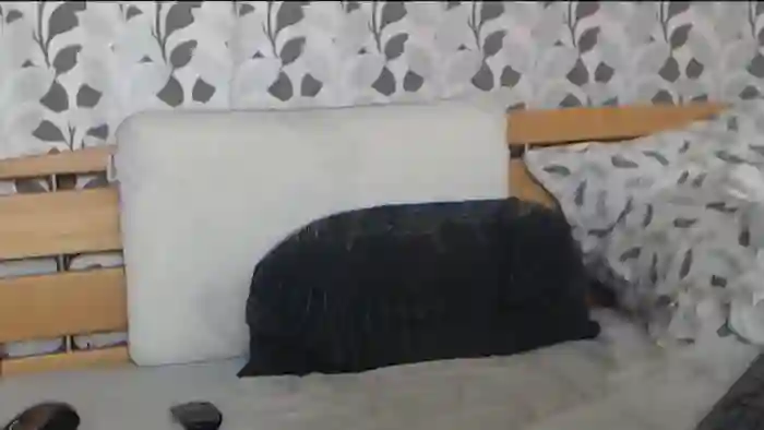Kelywild