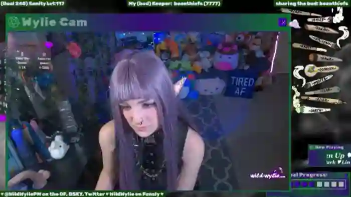 WildWyliePM