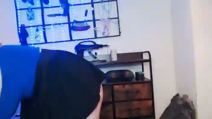 SinChip