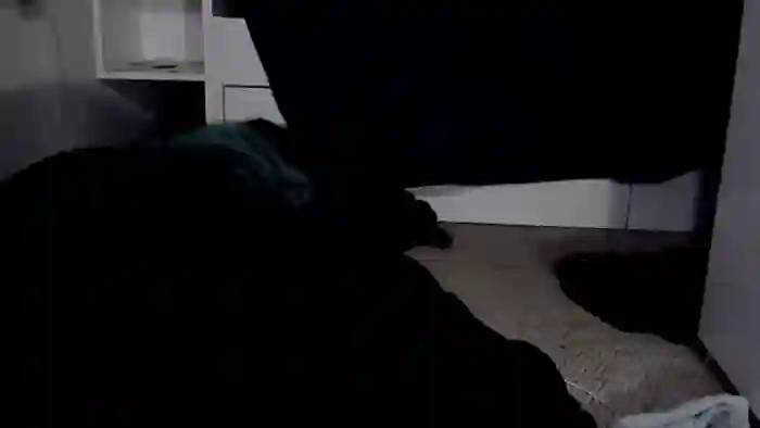SireninSilk