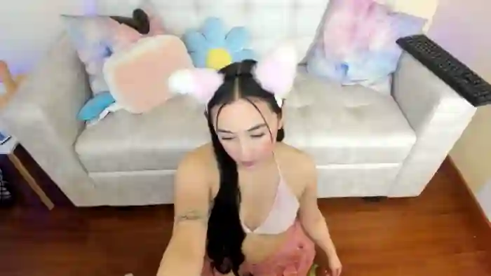 Tiny_Cora