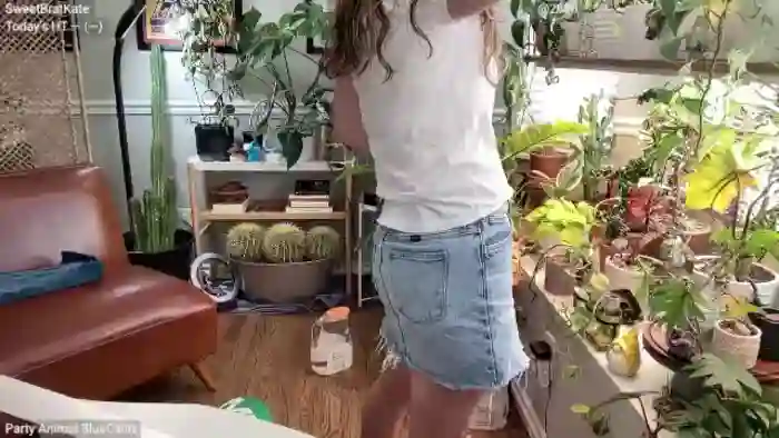 SweetbratKate