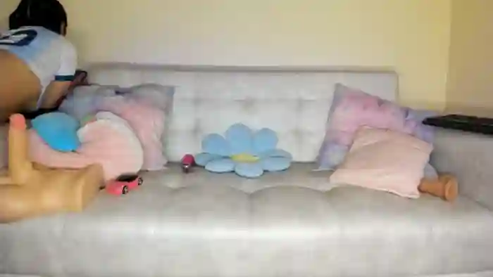 Tiny_Cora