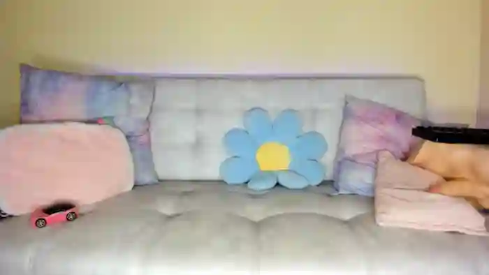 Tiny_Cora