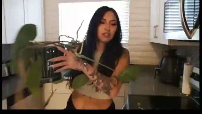 Lil_bunniii