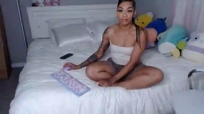 GigisKittyCat