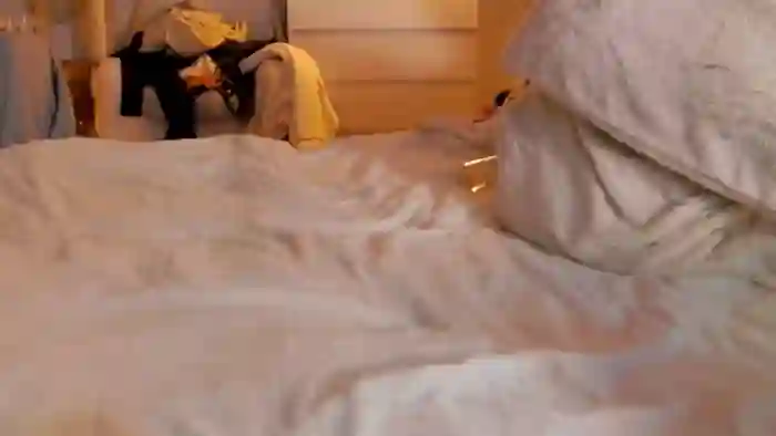 GingerVi
