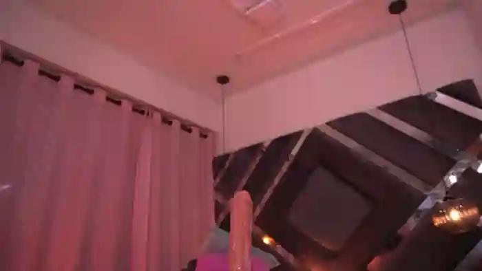 Violeta_aroca