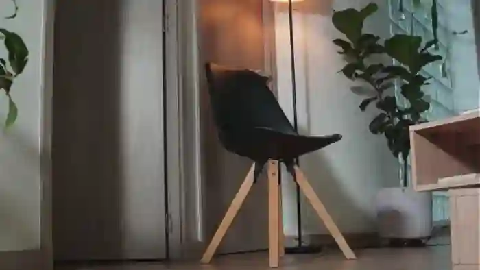 belledejour