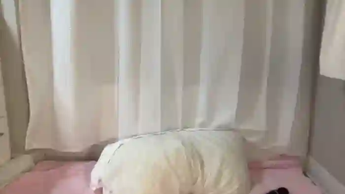 BritneyMonroe