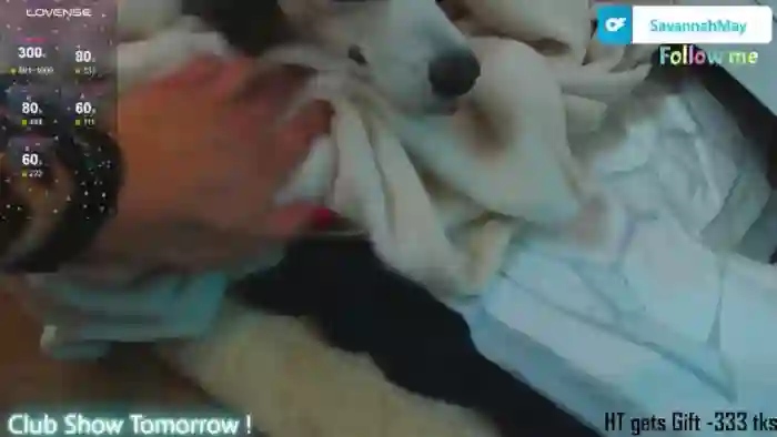 SavannahMay