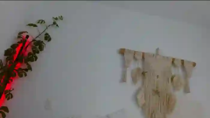 JuanitaMendez