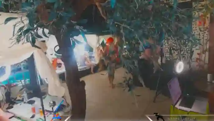 Dashy
