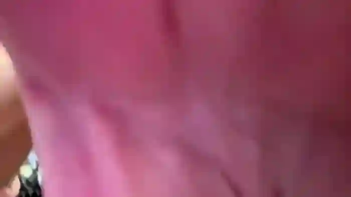 MollyMeowz