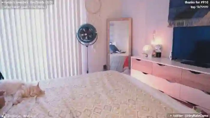 HeyKate