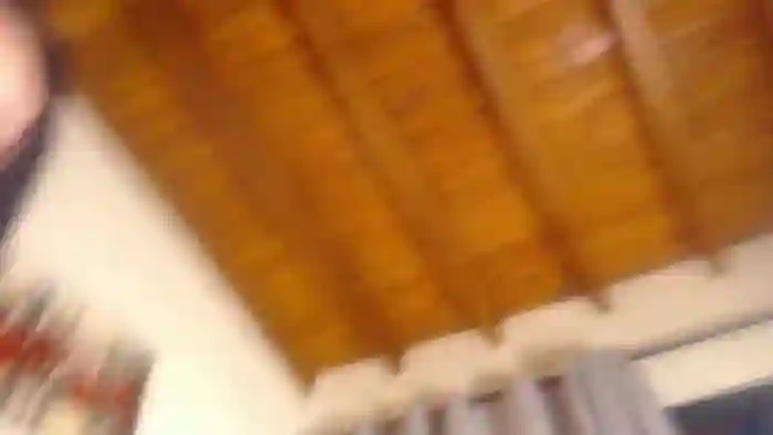 Pamelas_