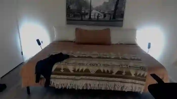 eh1_Scarlett