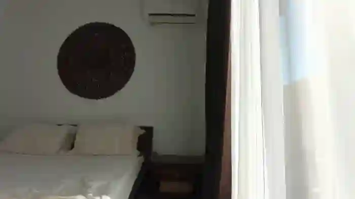 ImagineRoses