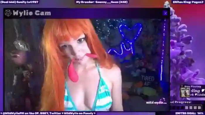 WildWyliePM