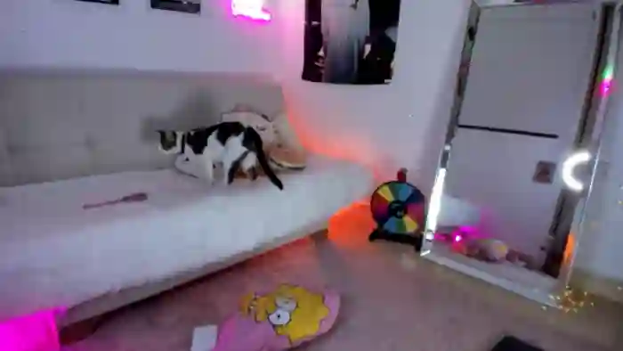 kittieEVIL