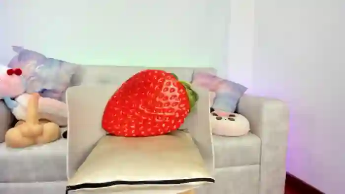 Tiny_Cora