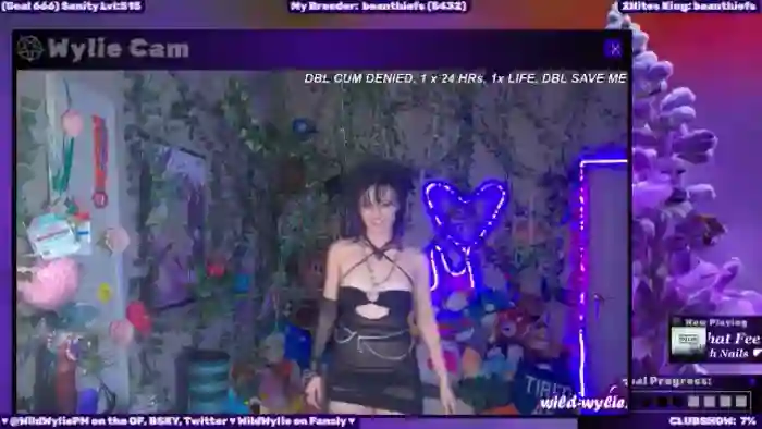 WildWyliePM