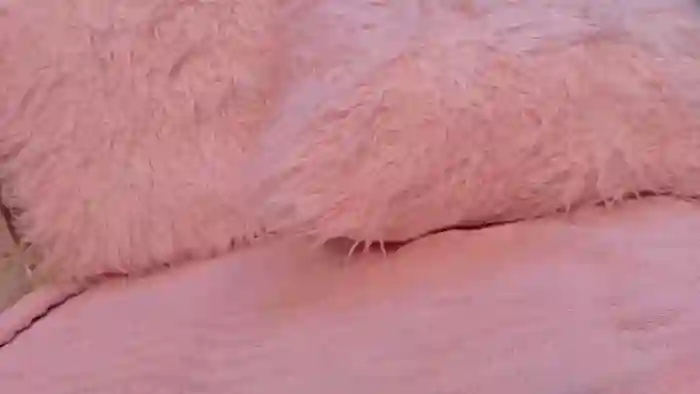 GiannaSexo