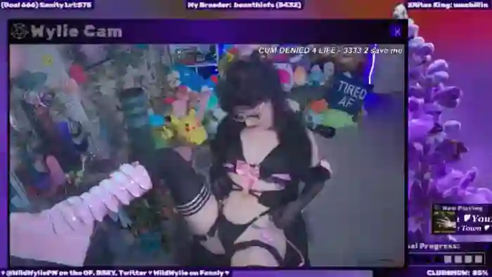 WildWyliePM