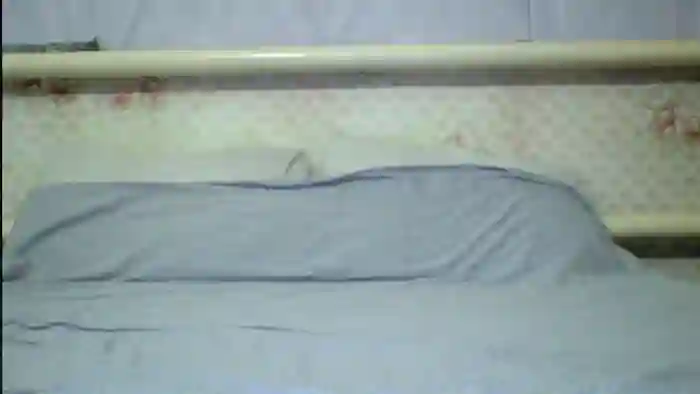 Stepfania