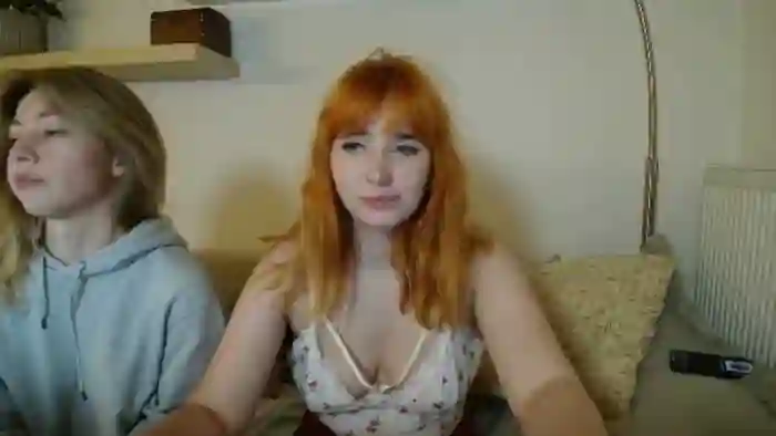 KotisFoxy