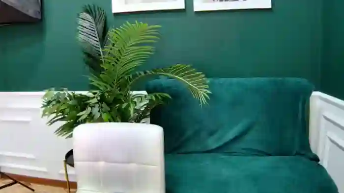 AmeliaKriss