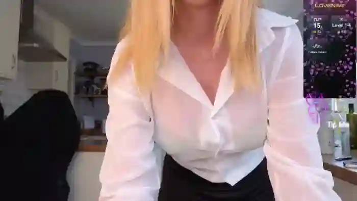 stripmequick