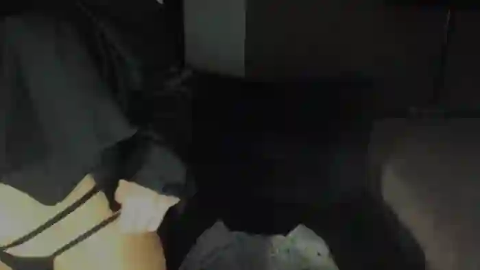 Anais25