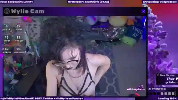 WildWyliePM